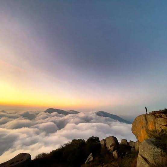 Chikkamagaluru Coffee & Hills Tour – Mullayanagiri & Plantations