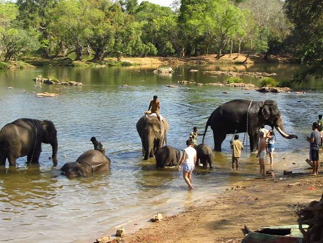 Dubare Elephant Camp on Cauvery River