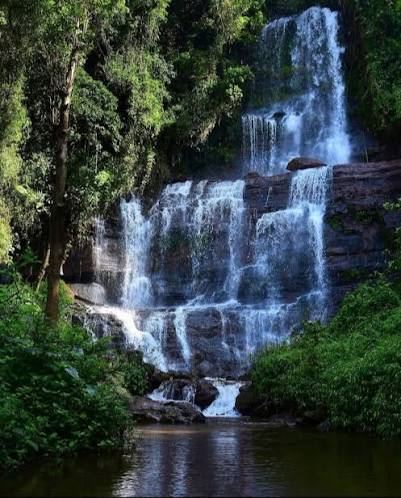 Jhari Falls Chikkamagaluru Karnataka