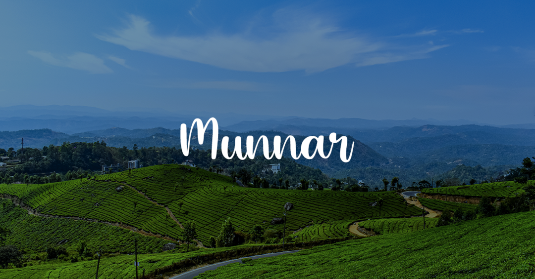 Rolling Tea Plantations and Cloud Covered Hills of Munnar