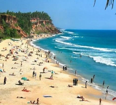 Goa Tropical Beaches and Palm Shores