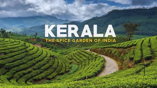 Periyar Forest and Kerala Spice Hills