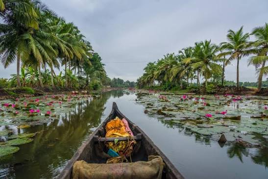Kerala Backwater Getaway – Kumarakom & Alleppey