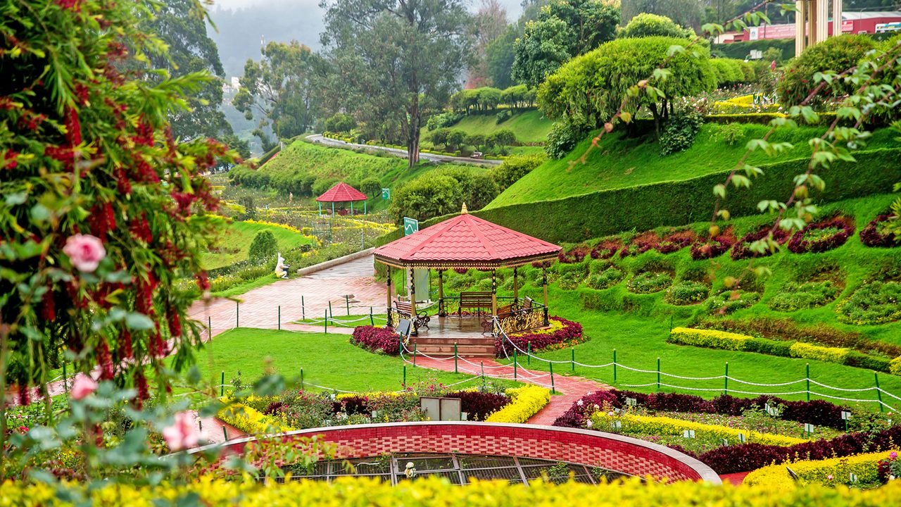 Government Botanical Gardens Ooty