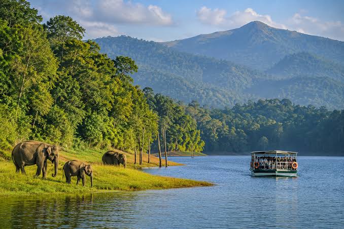 Thekkady Periyar Wildlife Safari